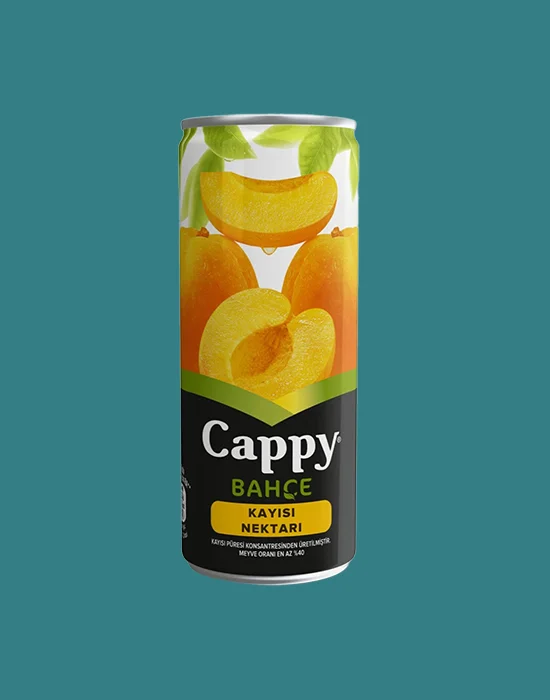 Cappy Kayısı Kutu